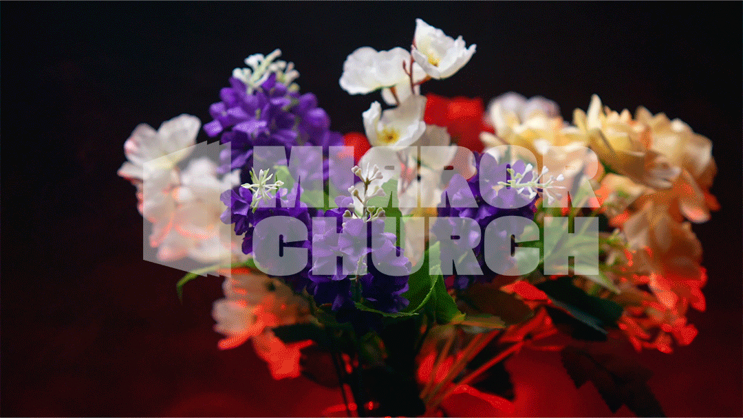 Flowers - Complete pack