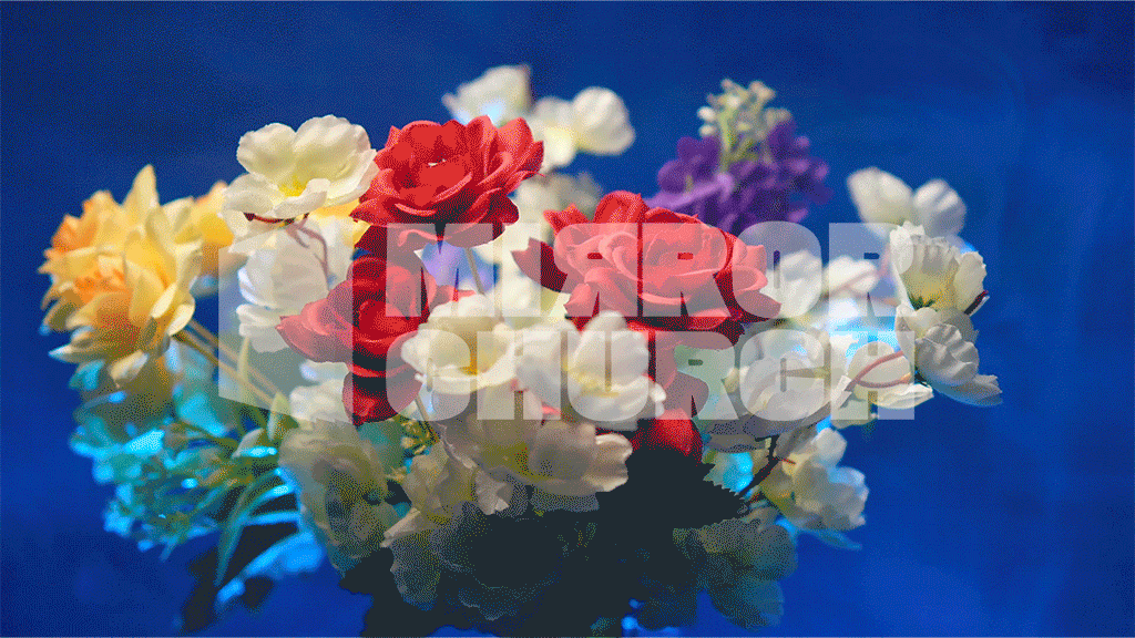 Flowers - Complete pack