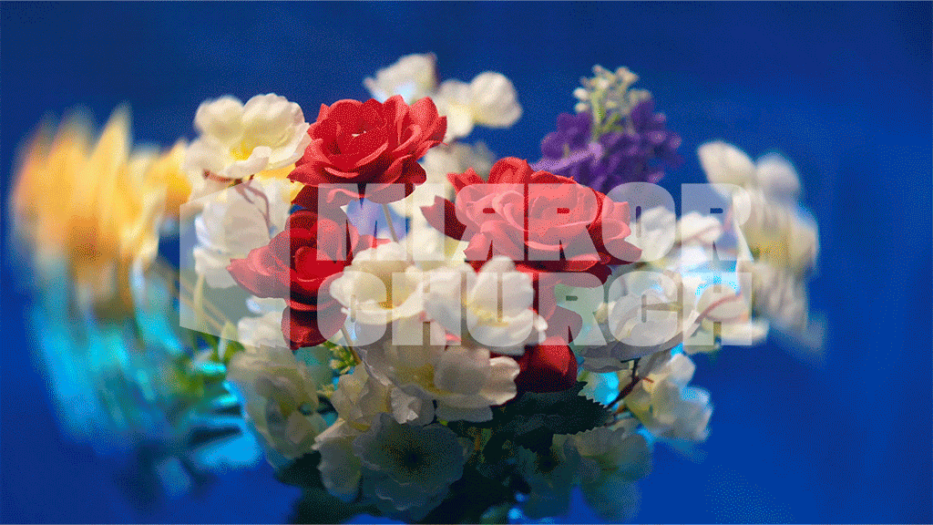 Flowers - Complete pack