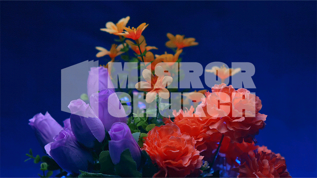 Flowers - Complete pack