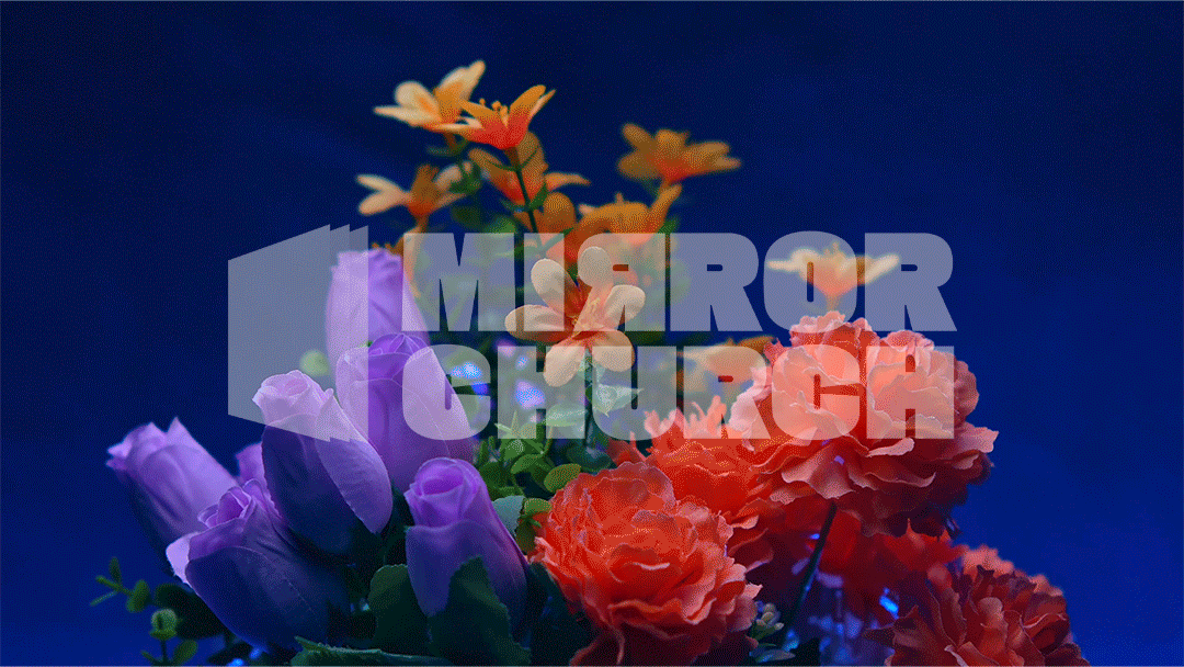 Flowers - Complete pack