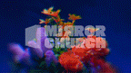 Flowers - Complete pack