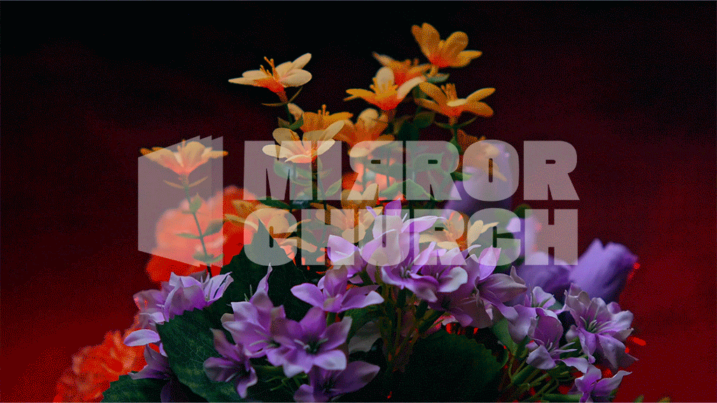 Flowers - Complete pack