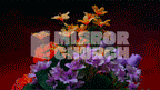 Flowers - Complete pack