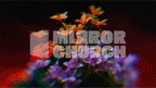 Flowers - Complete pack